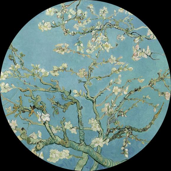 almond_blossoms
